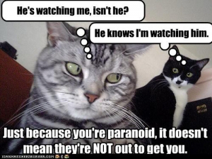 Paranoid Cats